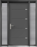 Contemporary Steel doors